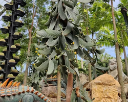 Nong Nooch Tropical Garden Pattaya Thailand guided tour picture 125