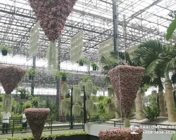 Nong Nooch Tropical Garden Pattaya Thailand guided tour picture 201