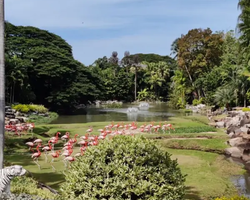 Nong Nooch Tropical Garden Pattaya Thailand guided tour picture 214