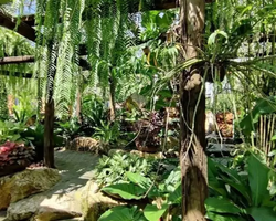 Nong Nooch Tropical Garden Pattaya Thailand guided tour picture 147