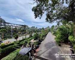 Nong Nooch Tropical Garden Pattaya Thailand guided tour picture 175