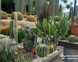 Nong Nooch Tropical Garden Pattaya Thailand guided tour picture 208