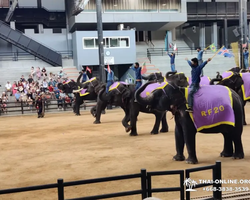 Nong Nooch Tropical Garden Pattaya Thailand guided tour picture 64