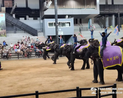 Nong Nooch Tropical Garden Pattaya Thailand guided tour picture 67