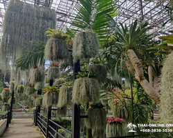 Nong Nooch Tropical Garden Pattaya Thailand guided tour picture 146