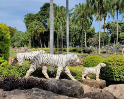 Nong Nooch Tropical Garden Pattaya Thailand guided tour picture 179