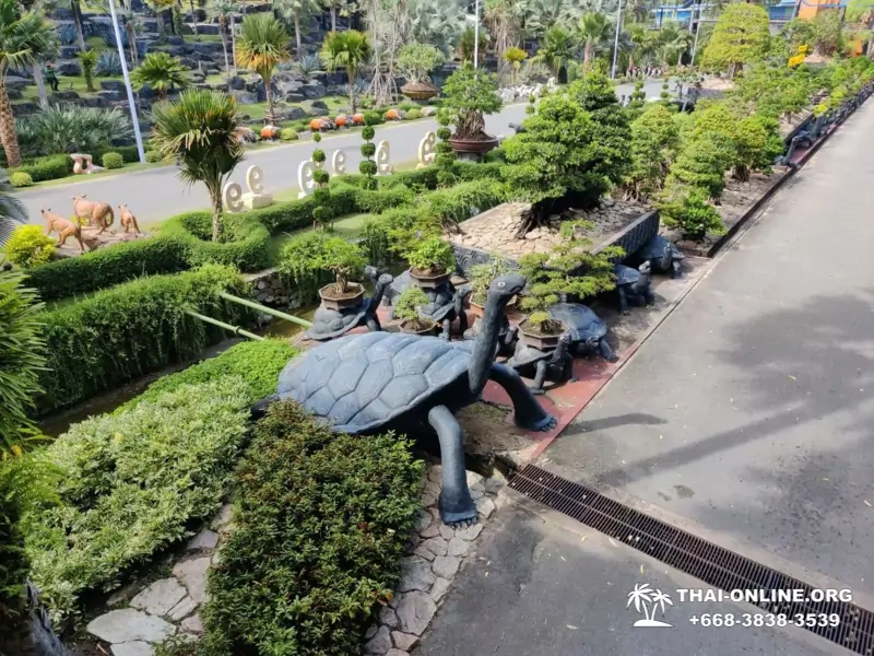 Nong Nooch Tropical Garden in Pattaya Thailand photo 19