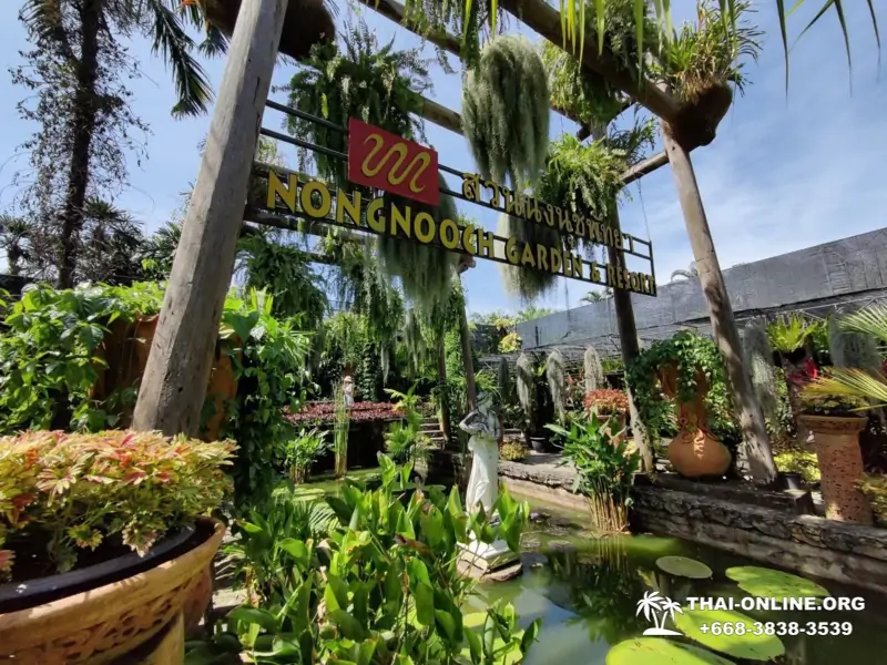 Nong Nooch Tropical Garden in Pattaya Thailand photo 23