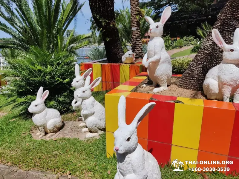 Nong Nooch Tropical Garden in Pattaya Thailand photo 25