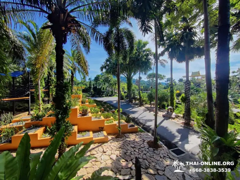 Nong Nooch Tropical Garden in Pattaya Thailand photo 18