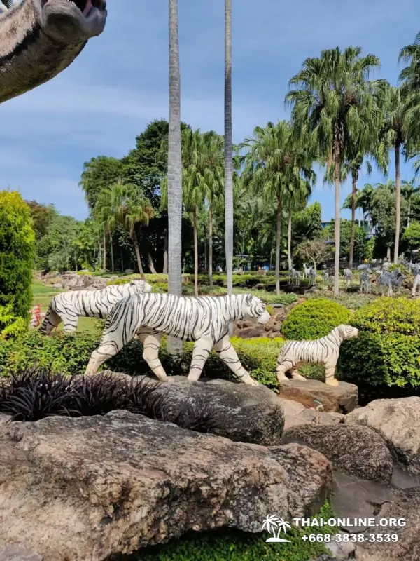 Nong Nooch Tropical Garden in Pattaya Thailand photo 29