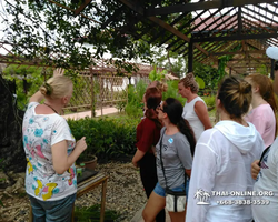 Excursion Asian Spice Garden in Pattaya guided tour Thailand photo 27