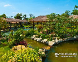 Excursion Asian Spice Garden in Pattaya guided tour Thailand photo 30