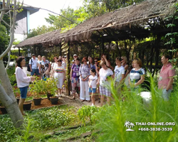 Excursion Asian Spice Garden in Pattaya guided tour Thailand photo 10