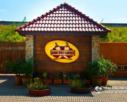 Excursion Asian Spice Garden in Pattaya guided tour Thailand photo 69