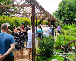 Excursion Asian Spice Garden in Pattaya guided tour Thailand photo 22