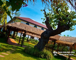 Excursion Asian Spice Garden in Pattaya guided tour Thailand photo 8
