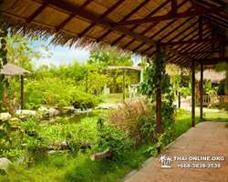 Excursion Asian Spice Garden in Pattaya guided tour Thailand photo 36