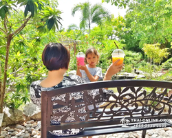Excursion Asian Spice Garden in Pattaya guided tour Thailand photo 3
