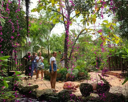 Excursion Asian Spice Garden in Pattaya guided tour Thailand photo 1