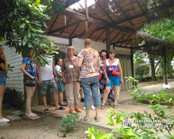 Excursion Asian Spice Garden in Pattaya guided tour Thailand photo 40