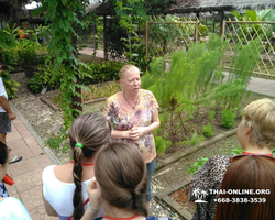 Excursion Asian Spice Garden in Pattaya guided tour Thailand photo 26