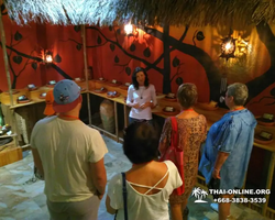 Excursion Asian Spice Garden in Pattaya guided tour Thailand photo 105