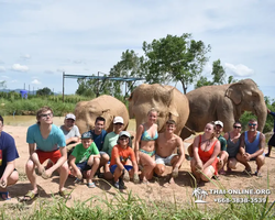Trip to Elephant Jungle Sanctuary Pattaya Thailand - photo 82