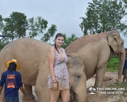 Trip to Elephant Jungle Sanctuary Pattaya Thailand - photo 91