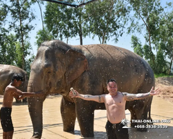 Trip to Elephant Jungle Sanctuary Pattaya Thailand - photo 97