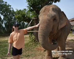 Trip to Elephant Jungle Sanctuary Pattaya Thailand - photo 76