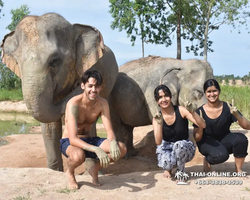 Trip to Elephant Jungle Sanctuary Pattaya Thailand - photo 77