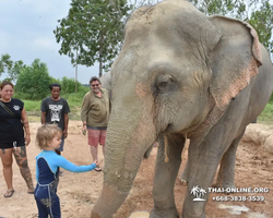 Trip to Elephant Jungle Sanctuary Pattaya Thailand - photo 95