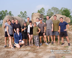 Trip to Elephant Jungle Sanctuary Pattaya Thailand - photo 81