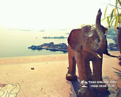 Lucky Island of Koh Si Chang trip in Patthaya Thailand - photo 90