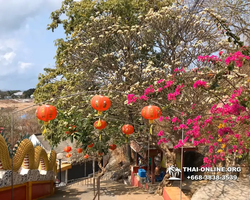 Koh Sichang isle of Good Luck excursion from Pattaya - photo 210