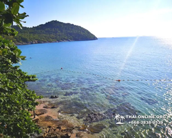 Lucky Island of Koh Si Chang trip in Patthaya Thailand - photo 184