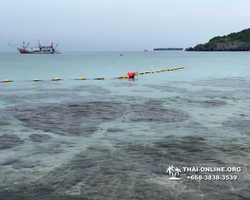 Lucky Island of Koh Si Chang trip in Patthaya Thailand - photo 70