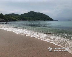 Koh Sichang isle of Good Luck excursion from Pattaya - photo 111