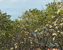 Lucky Island of Koh Si Chang trip in Patthaya Thailand - photo 144