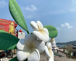 Lucky Island of Koh Si Chang trip in Patthaya Thailand - photo 96
