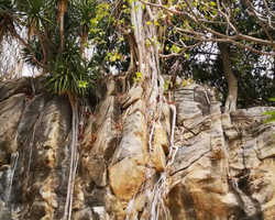 Koh Sichang isle of Good Luck excursion from Pattaya - photo 170