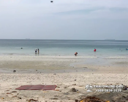 Lucky Island of Koh Si Chang trip in Patthaya Thailand - photo 73
