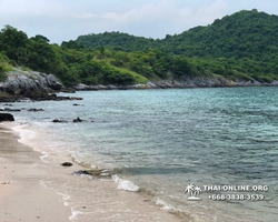 Koh Sichang isle of Good Luck excursion from Pattaya - photo 163