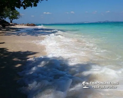 Pink Island of Ko Ta Lu excursion in Pattaya Thailand picture 72