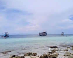 Pink Island of Ko Ta Lu excursion in Pattaya Thailand picture 91