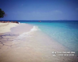 Pink Island of Ko Ta Lu excursion in Pattaya Thailand picture 102