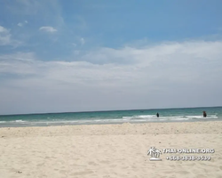 Pink Island of Ko Ta Lu excursion in Pattaya Thailand picture 103