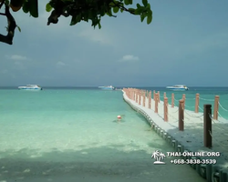 Pink Island of Ko Ta Lu excursion in Pattaya Thailand picture 95