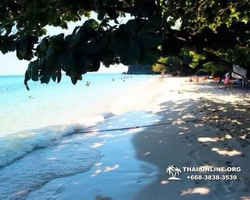 Pink Island of Ko Ta Lu excursion in Pattaya Thailand picture 56